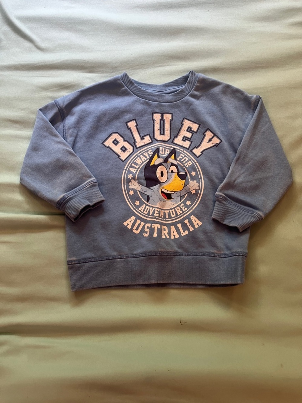 Bluey Crewneck Lightweight Sweatshirt